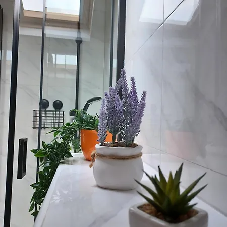 Family - 2026 Ryanair's Nr 1 アパート *